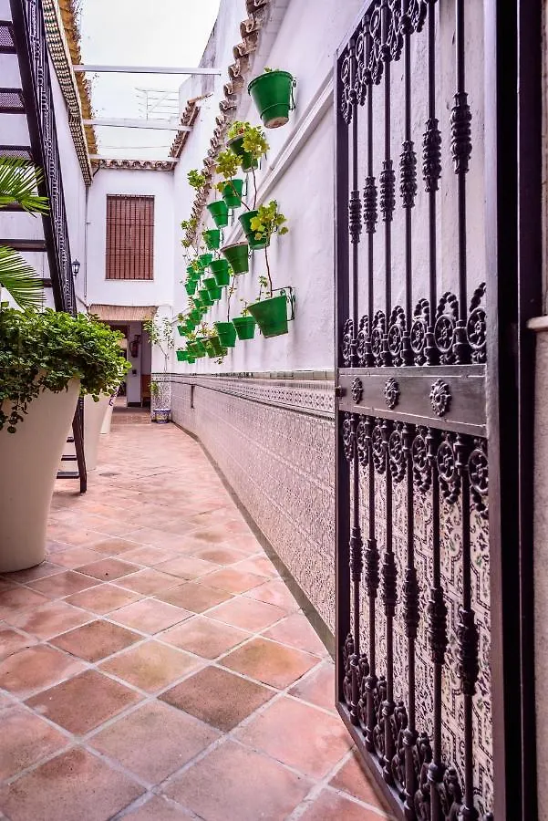 El Patio De Santiago Hotel Cordoba