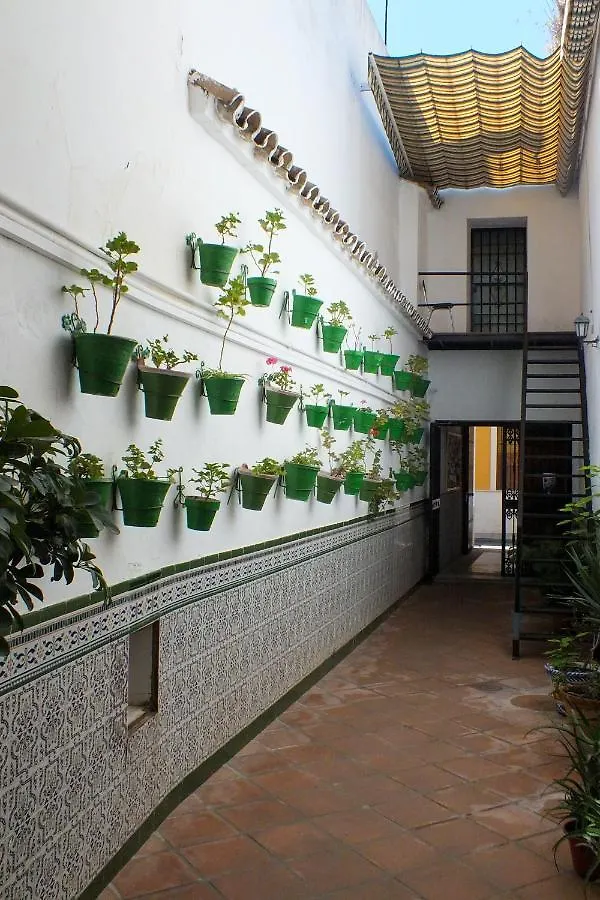 El Patio De Santiago Hotel Cordoba Guest house